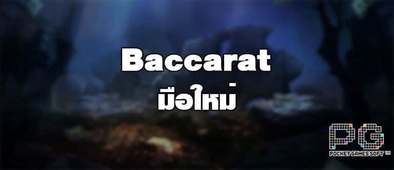 Baccarat มือใหม่ ควรเริ่มจากการใช้สูตรเดินเงินคงที่