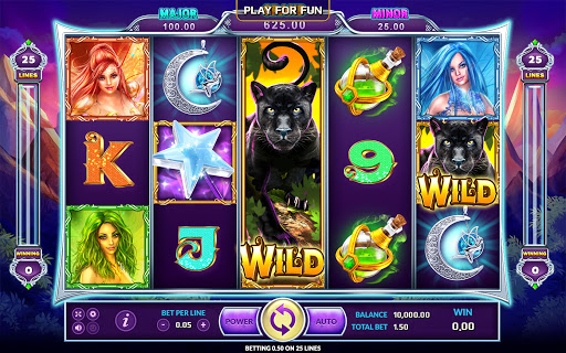 รีวิวเกม WILD FAIRIES 1