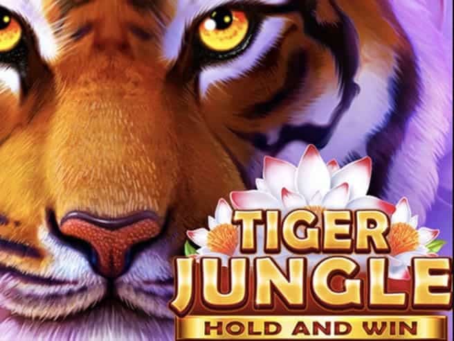 PGSLOT สล็อต ทดลองเล่นฟรี ถอนได้ Tiger Jungle รวมสล็อต 2022