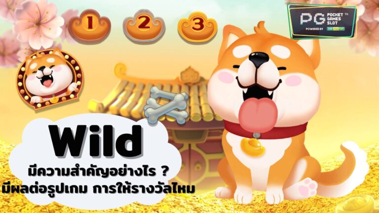 Wild มีความสำคัญอย่างไร มีผลต่อรูปเกม การให้รางวัลไหม 2022